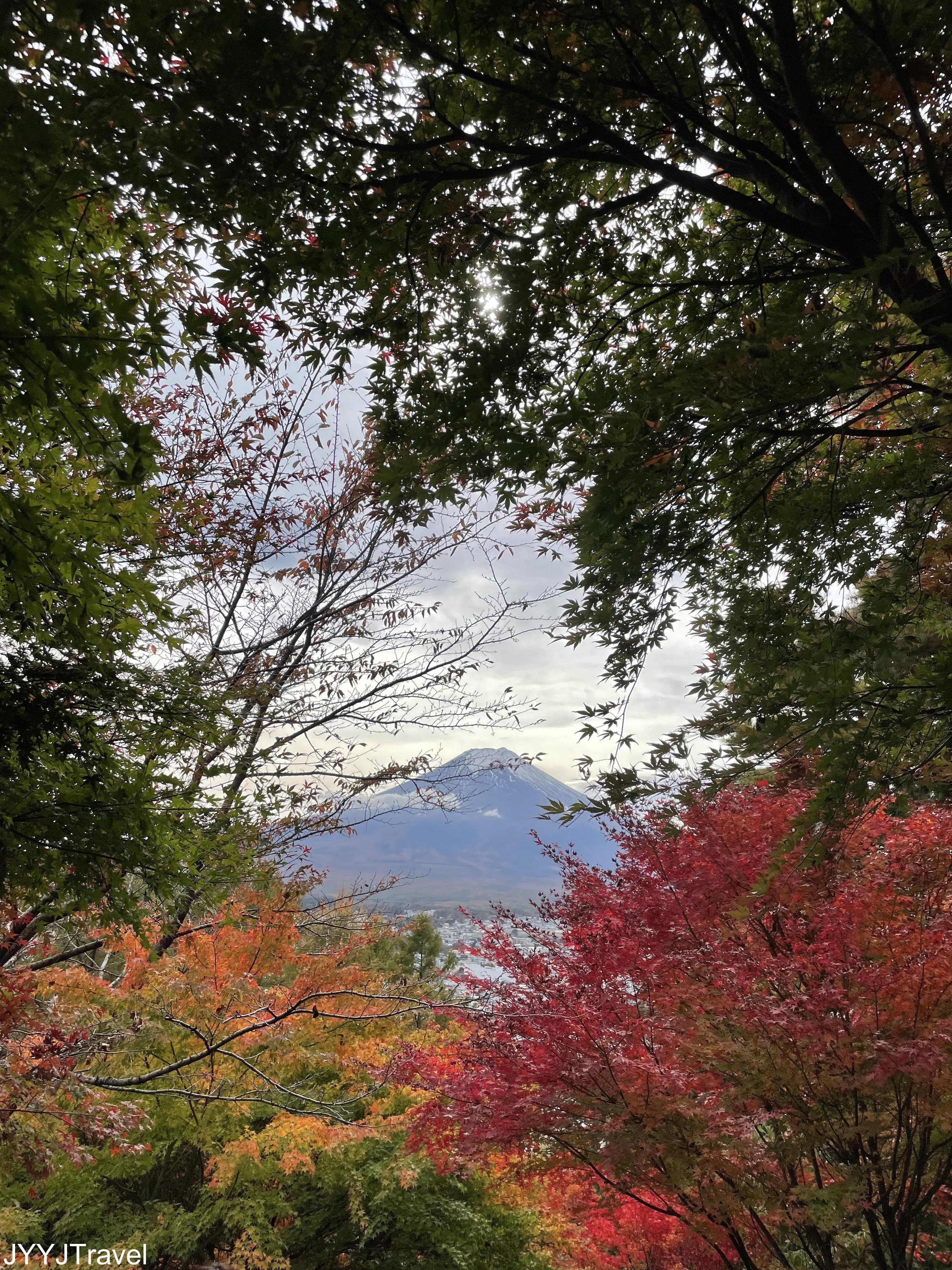 東京河口湖3