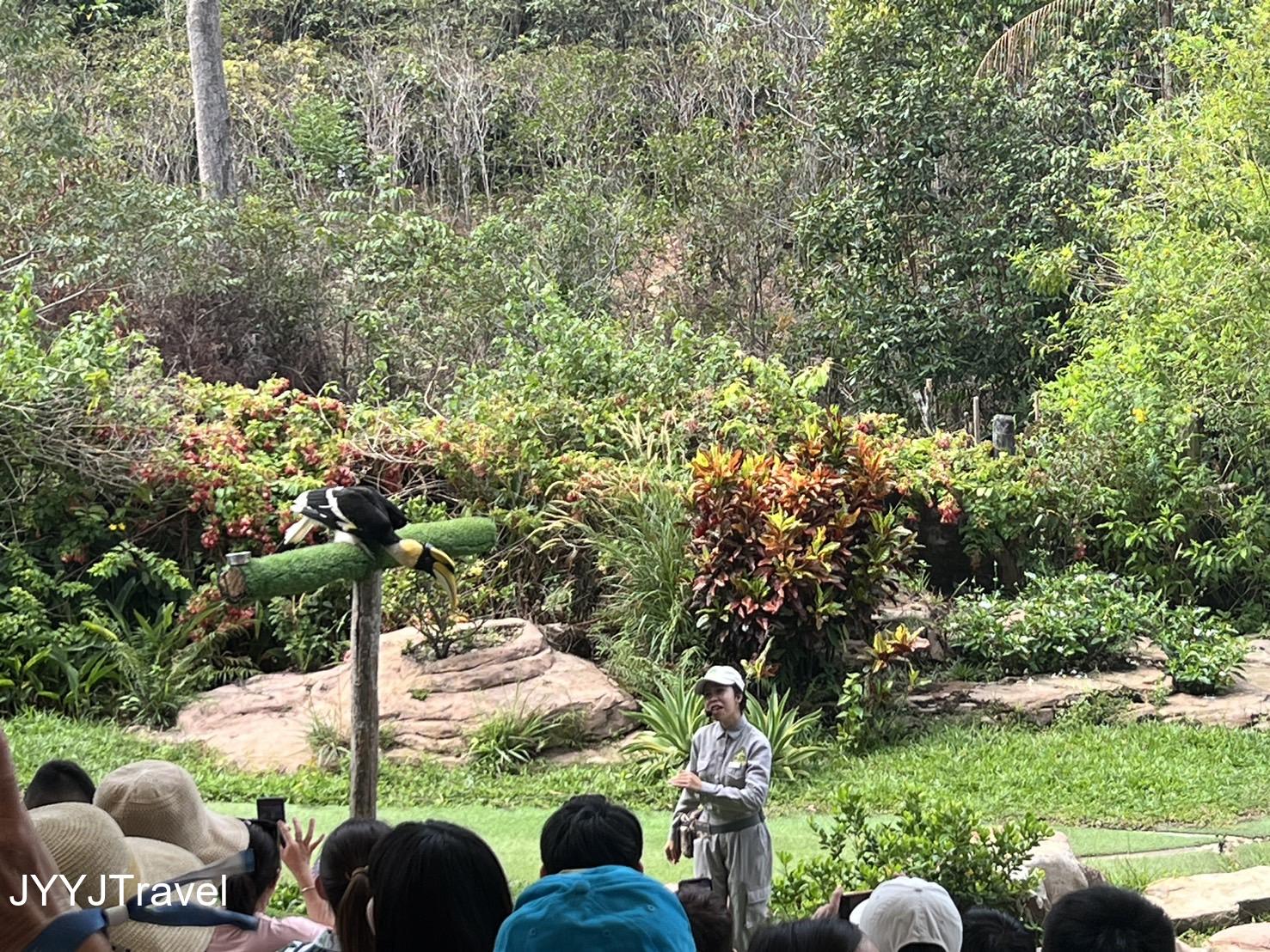 野生動物園1